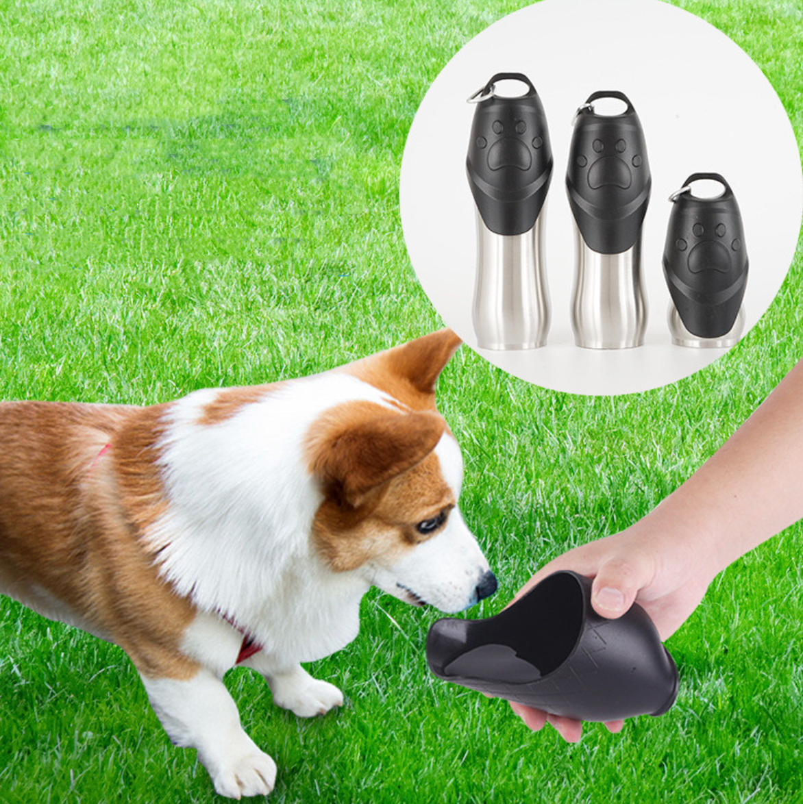 Portable Outdoor Pet Drinking Bottle for Cats and Dogs