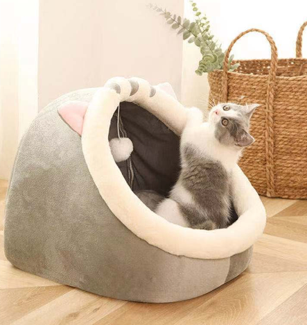 Cat bed